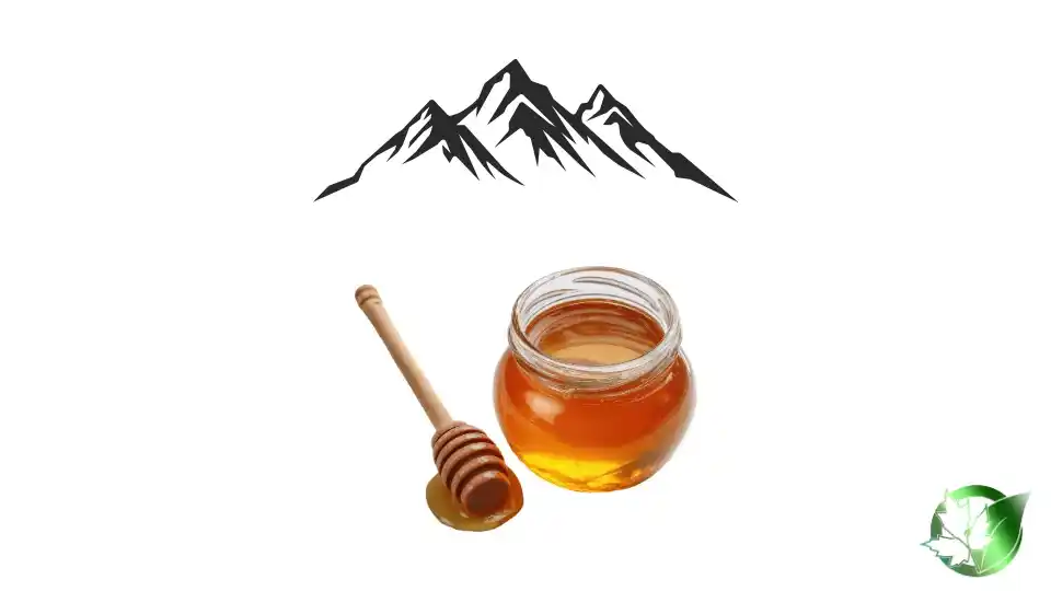 Bulk Mountain Honey | Suppliers | Wholesale | ParsaFood Global